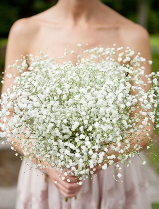 Bouquet of Baby's Breath